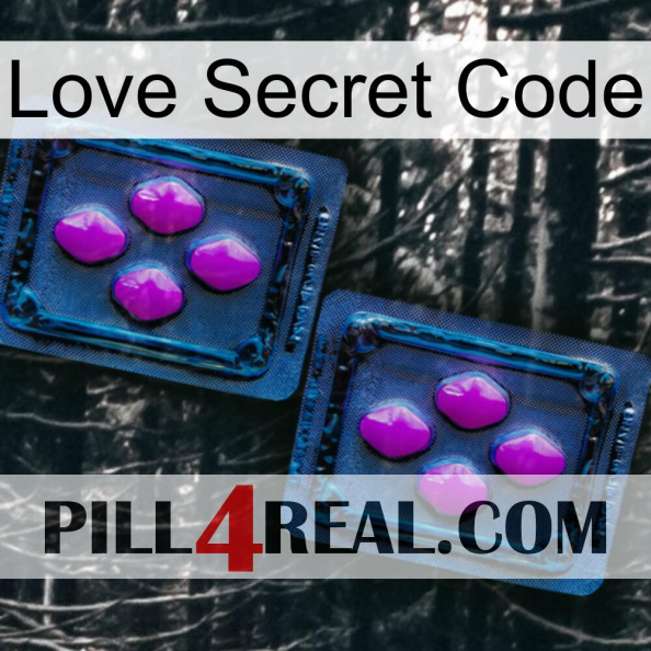 Love Secret Code 03